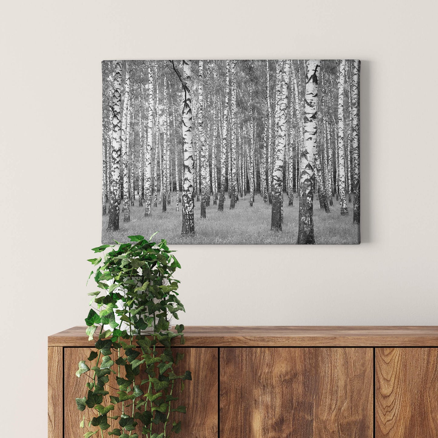 Leinwandbild Wald Weiß Schwarz 70x50 DD123018 Keilrahmenbild Wandbild Leinwand
