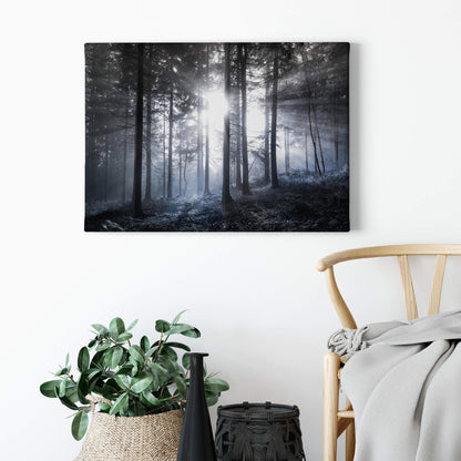 Leinwandbild Wald Blau Weiß Schwarz 70x50 DD123020 Keilrahmen Wandbild Leinwand