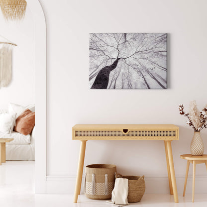 Baum Leinwandbild Weiß Schwarz 70x50 DD123022 Keilrahmenbild Wandbild Leinwand