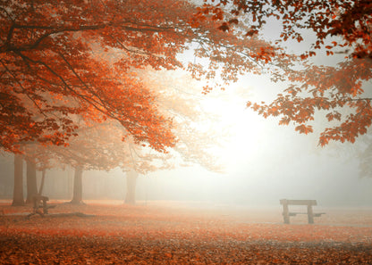 Baum Leinwandbild Braun Orange 70x50 DD123023 Keilrahmenbild Wandbild Leinwand