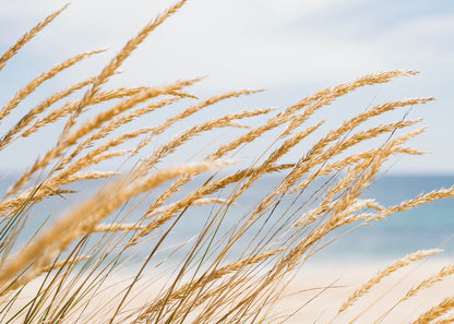 Leinwandbild Strand Meer Blau Beige 70x50 DD123036 Keilrahmen Wandbild Leinwand