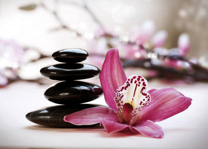 Leinwandbild Relax Japanisch Rosa 70x50 DD123042 Keilrahmen Wandbild Leinwand