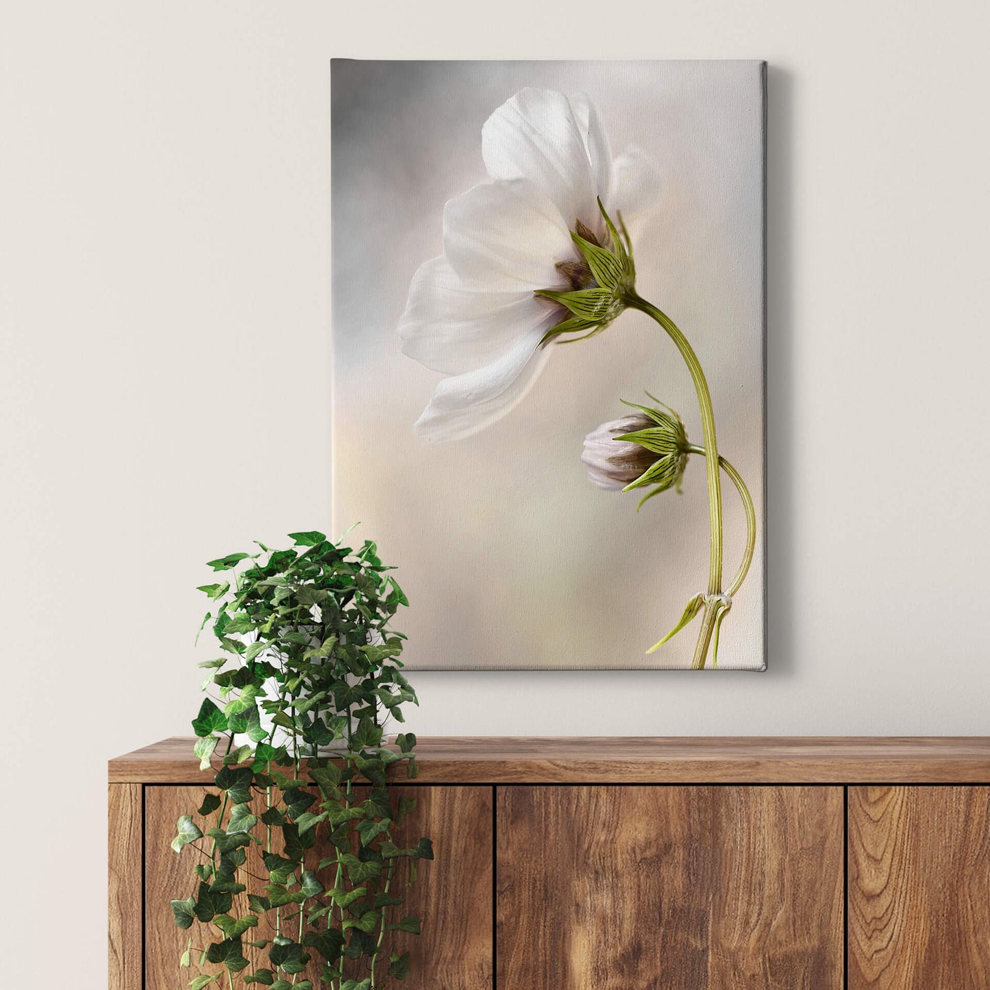 Blume Leinwandbild Weiß 50x70 DD123116 Keilrahmenbild Wandbild Leinwand Floral
