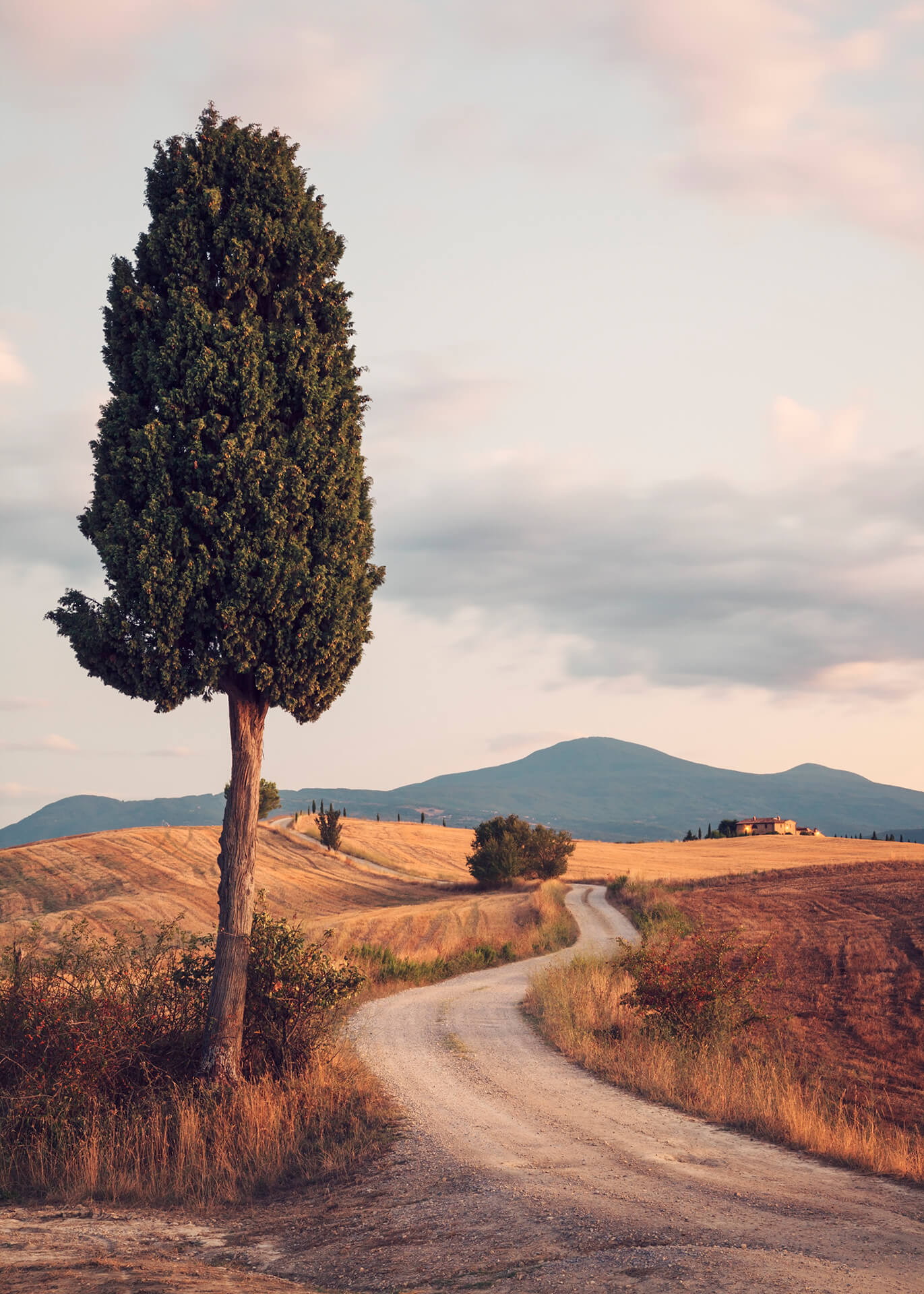 Leinwandbild Landschaft Grün Braun 70x70 DD123122 Keilrahmenbild Wandbild