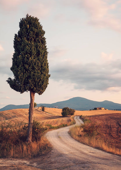 Leinwandbild Landschaft Grün Braun 70x70 DD123122 Keilrahmenbild Wandbild