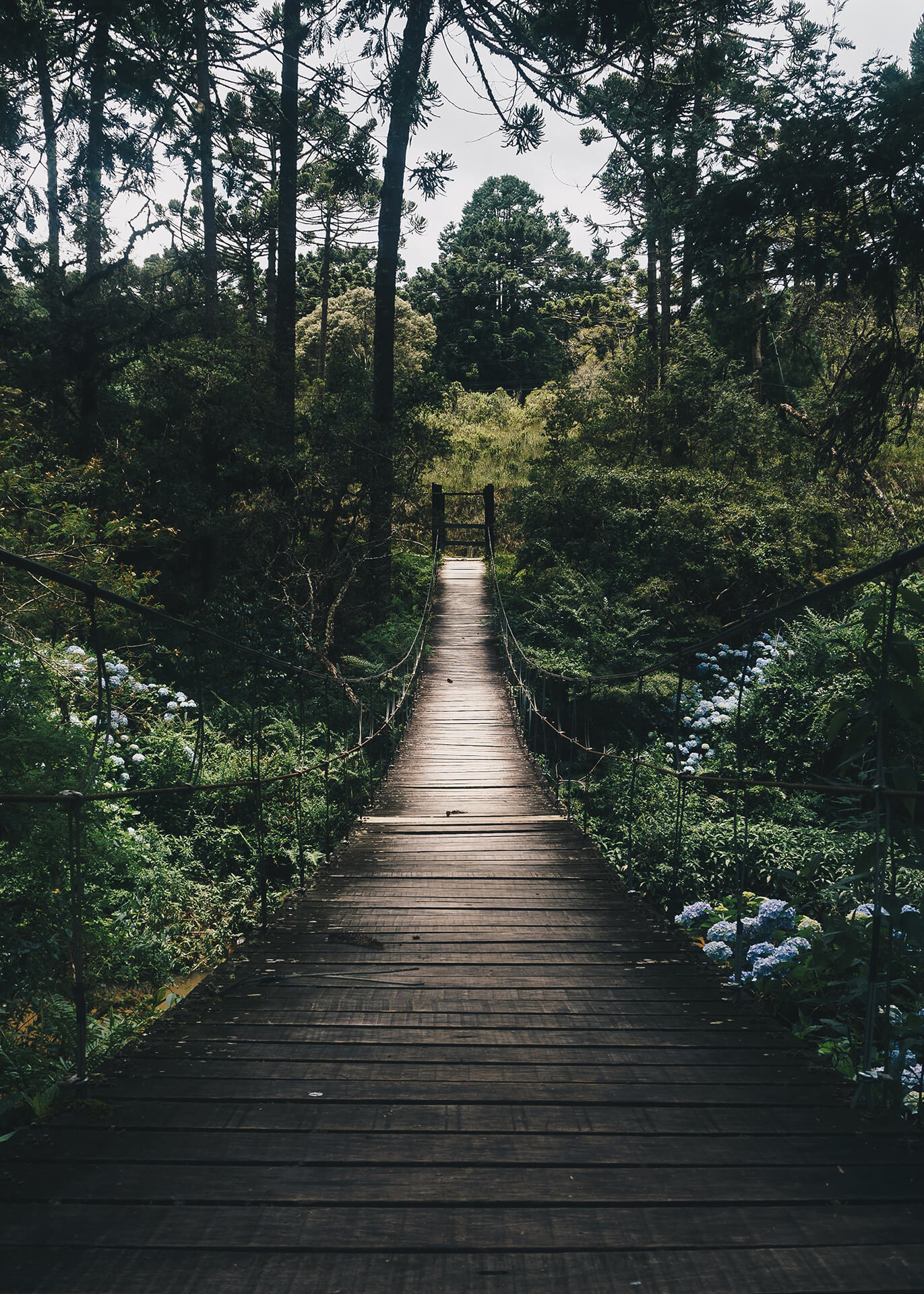 Leinwandbild Wald Grün Braun 50x70 DD123125 Keilrahmenbild Wandbild Leinwand