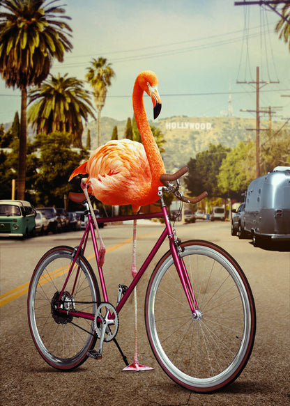 Leinwandbild Flamingo Fahrrad Rosa Blau 50x70 DD123128 Wandbild Leinwand