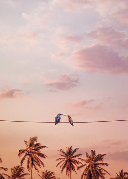 Leinwandbild Vögel Rosa 50x70 DD123129 Keilrahmenbild Wandbild Leinwand