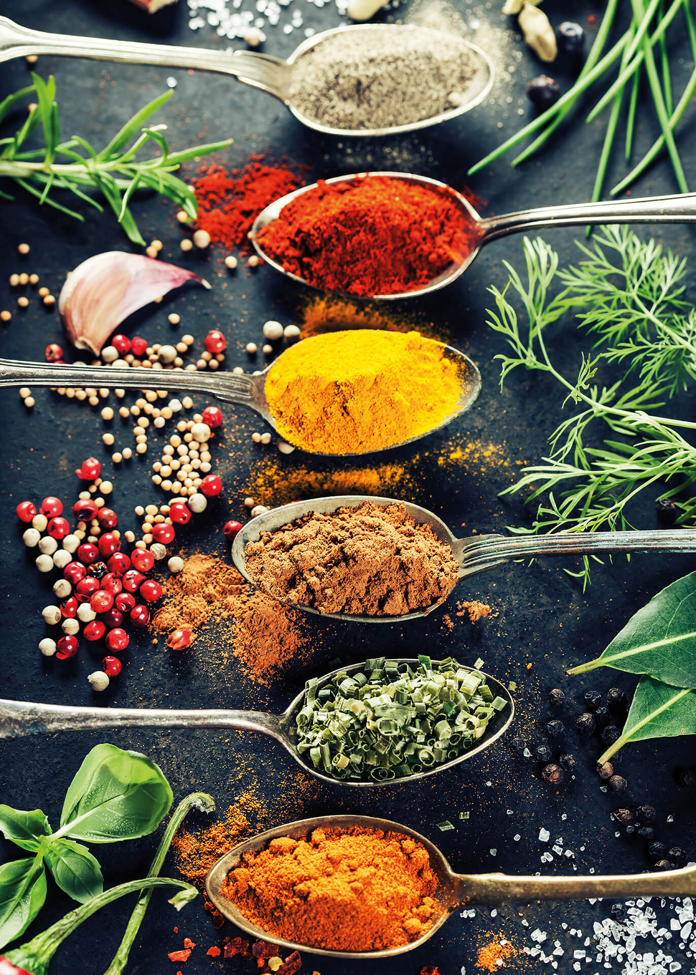 Leinwandbild Kräuter Gewürze Grün Rot Gelb 50x70 DD123133 Wandbild Leinwand