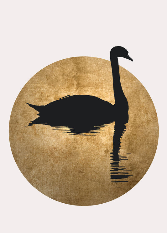 Schwan Leinwandbild Schwarz Gold Weiß 50x70 DD123154 Keilrahmen Wandbild