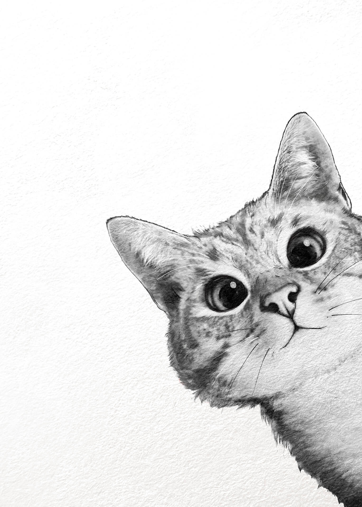 Katze Leinwandbild Weiß Schwarz 50x70 DD123175 Keilrahmenbild Wandbild Leinwand