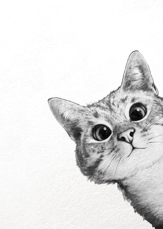 Katze Leinwandbild Weiß Schwarz 50x70 DD123175 Keilrahmenbild Wandbild Leinwand