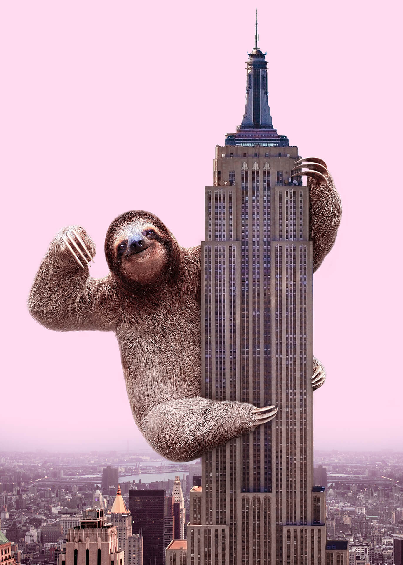 Leinwandbild Faultier Amerika Rosa Braun 50x70 DD123176 Keilrahmenbild Wandbild