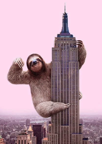 Leinwandbild Faultier Amerika Rosa Braun 50x70 DD123176 Keilrahmenbild Wandbild