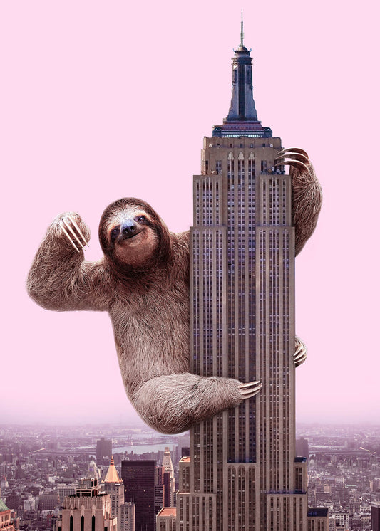 Leinwandbild Faultier Amerika Rosa Braun 50x70 DD123176 Keilrahmenbild Wandbild