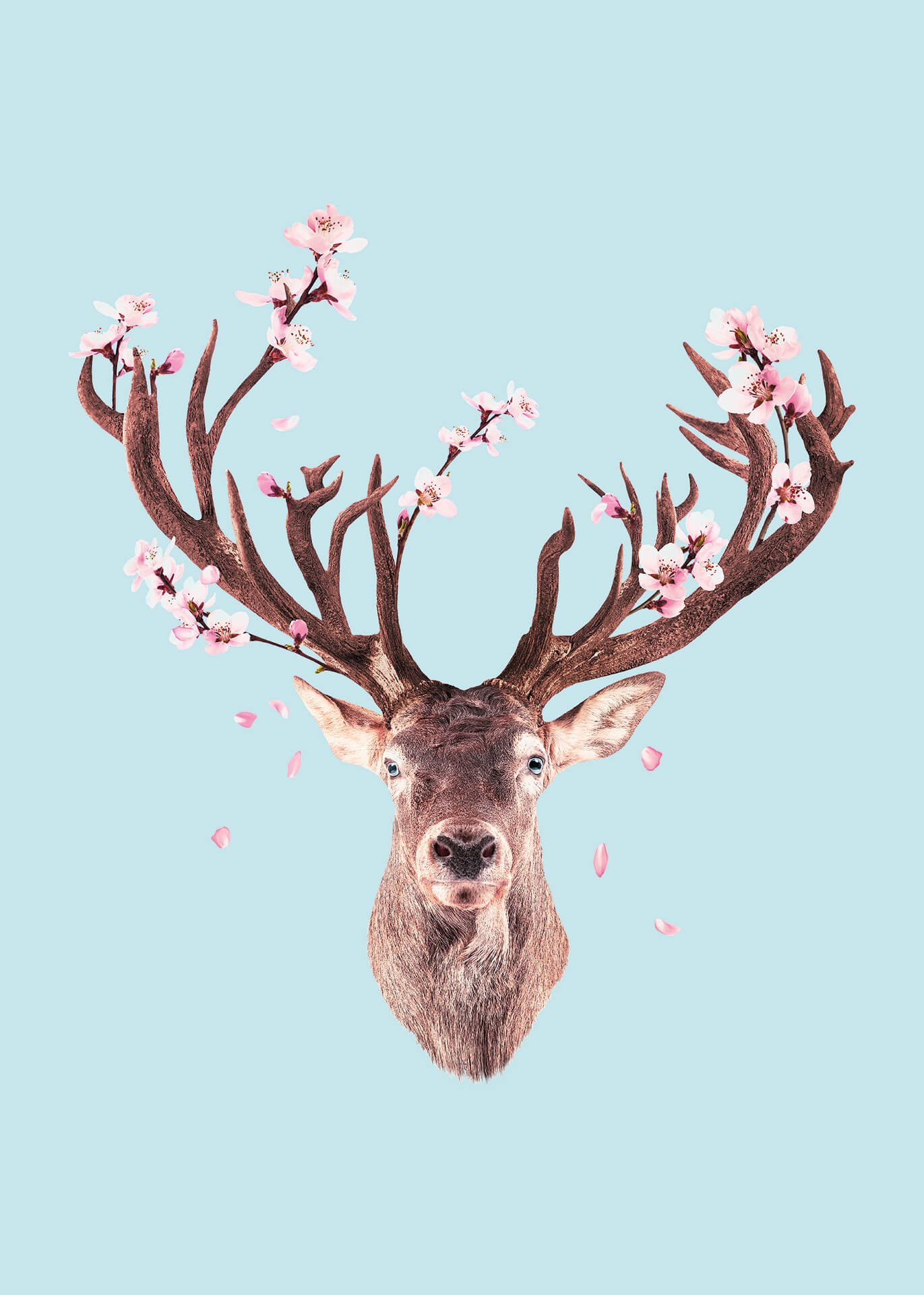 Leinwandbild Rehkopf Blau Beige 50x70 DD123178 Keilrahmen Wandbild Leinwand