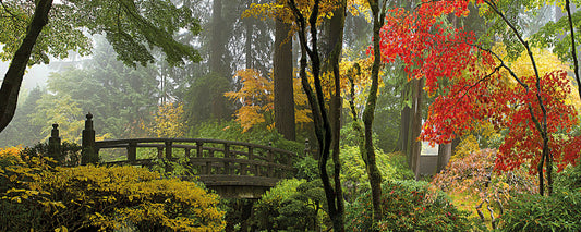 Leinwandbild Japanischer Garten Grün Braun 100x40 DD123204 Wandbild Leinwand