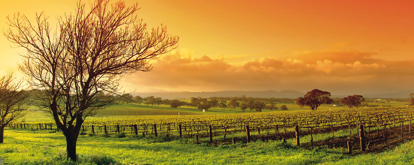 Leinwandbild Landschaft Grün Braun Orange 100x40 DD123205 Keilrahmen Wandbild