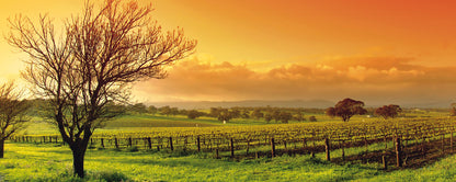 Leinwandbild Landschaft Grün Braun Orange 100x40 DD123205 Keilrahmen Wandbild