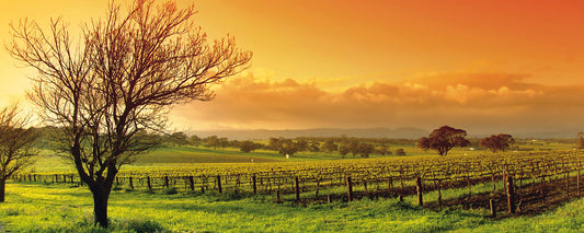 Leinwandbild Landschaft Grün Braun Orange 100x40 DD123205 Keilrahmen Wandbild