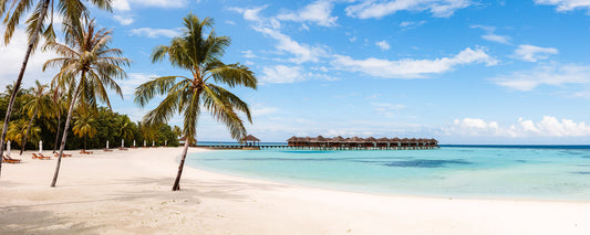 Leinwandbild Palmen Strand Meer Blau Türkis 100x40 DD123210 Wandbild Leinwand