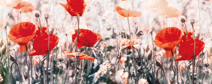 Leinwandbild Blume Rot Grau Grün 100x40 DD123220 Keilrahmen Wandbild Leinwand