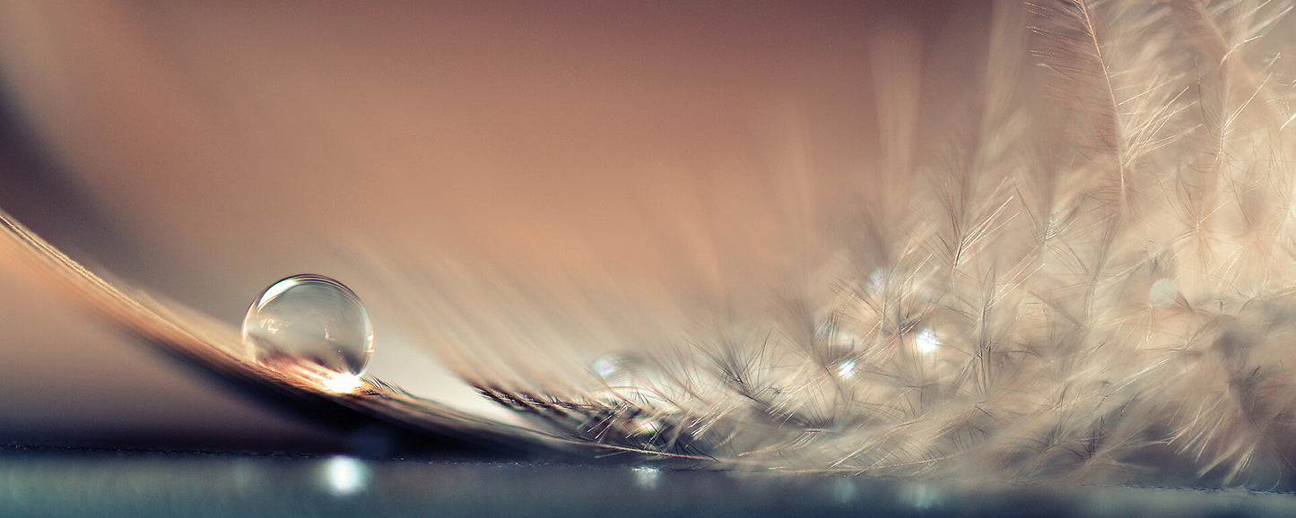 Leinwandbild Wassertropfen Braun Grau 100x40 DD123223 Keilrahmenbild Wandbild