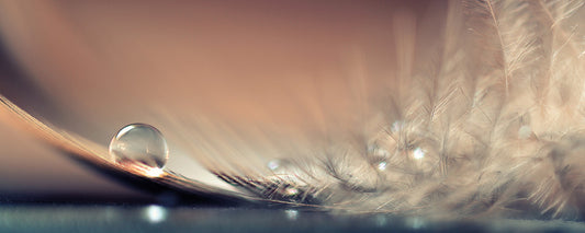 Leinwandbild Wassertropfen Braun Grau 100x40 DD123223 Keilrahmenbild Wandbild