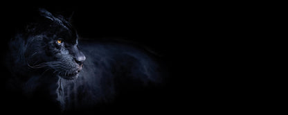 Panther Leinwandbild Schwarz 100x40 DD123227 Keilrahmenbild Wandbild Tier