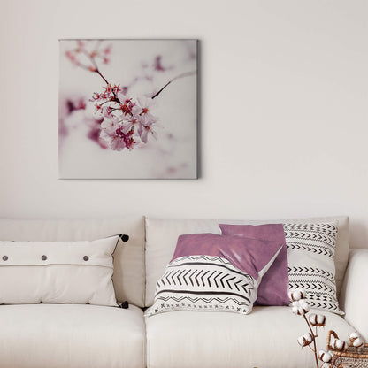 Kirschblüte Leinwandbild Rosa 50x50 DD123258 Keilrahmenbild Wandbild Leinwand