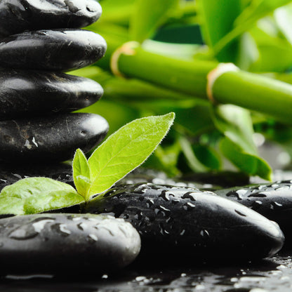 Leinwandbild Natur Grün Schwarz 50x50 DD123264 Keilrahmen Wandbild Leinwand