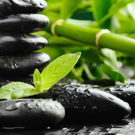 Leinwandbild Natur Grün Schwarz 50x50 DD123264 Keilrahmen Wandbild Leinwand