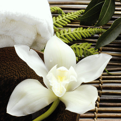 Blume Leinwandbild Weiß Grün Schwarz 50x50 DD123266 Keilrahmen Wandbild Leinwand