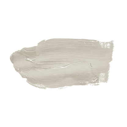 A.S. Création Wandfarbe TCK1016 2,5l Opened Oyster Farbe Innen Taupe