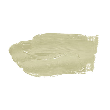A.S. Création Wandfarbe TCK4001 5l Warm Wasabi Farbe Innen Grün