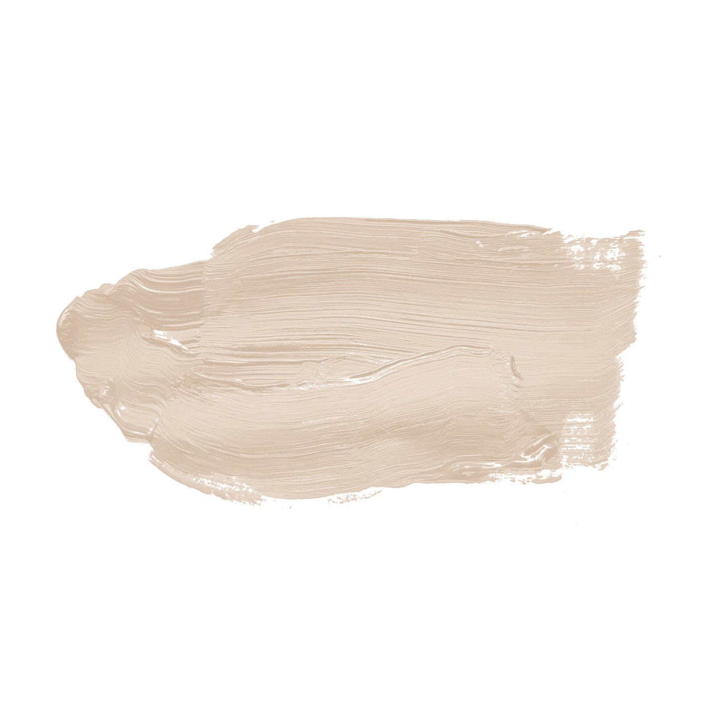A.S. Création Wandfarbe TCK6018 2,5l Pure Potato Farbe Innen Beige