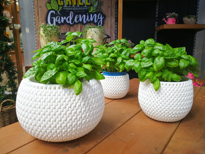 Pflanzkübel 3er Set Blumentopf Pflanzentopf Balkontopf Strickmuster Übertopf