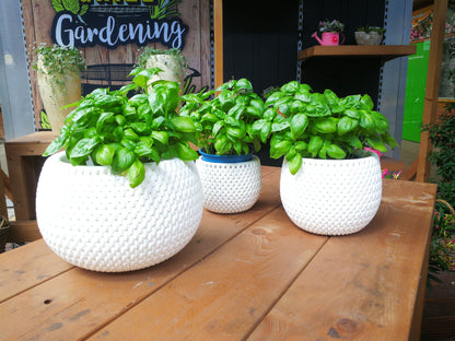 Pflanzkübel 3er Set Blumentopf Pflanzentopf Balkontopf Strickmuster Übertopf