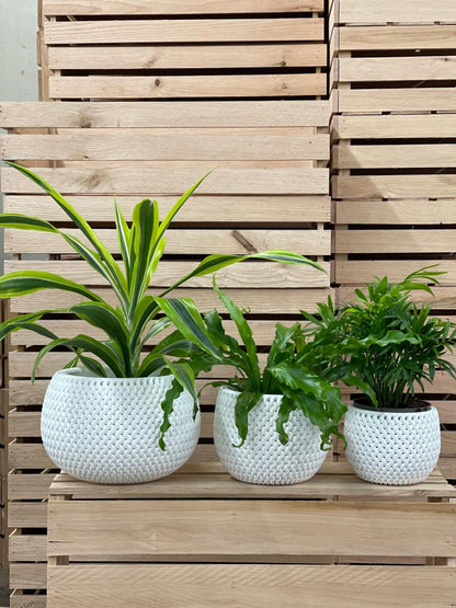 Pflanzkübel 3er Set Blumentopf Pflanzentopf Balkontopf Strickmuster Übertopf