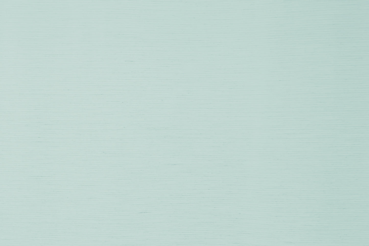 Homing Flächenvorhang Luis 60x245 aqua Vorhang Vorhänge Schlafzimmer transparent